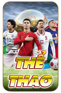 Thể thao vswin